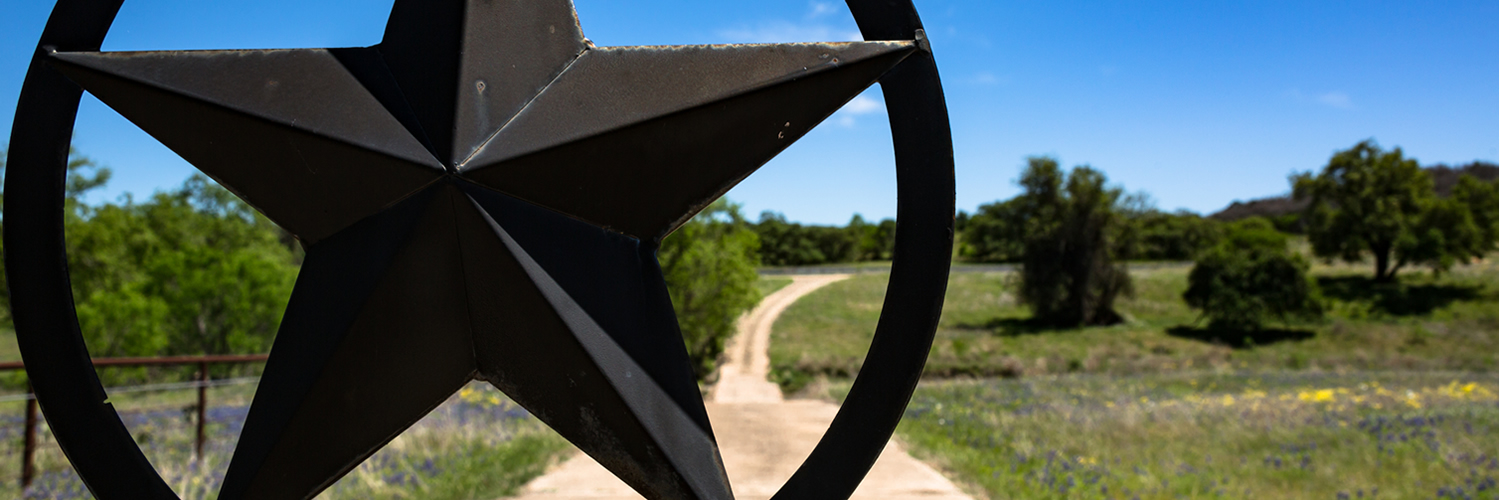 Banner image of McKinney